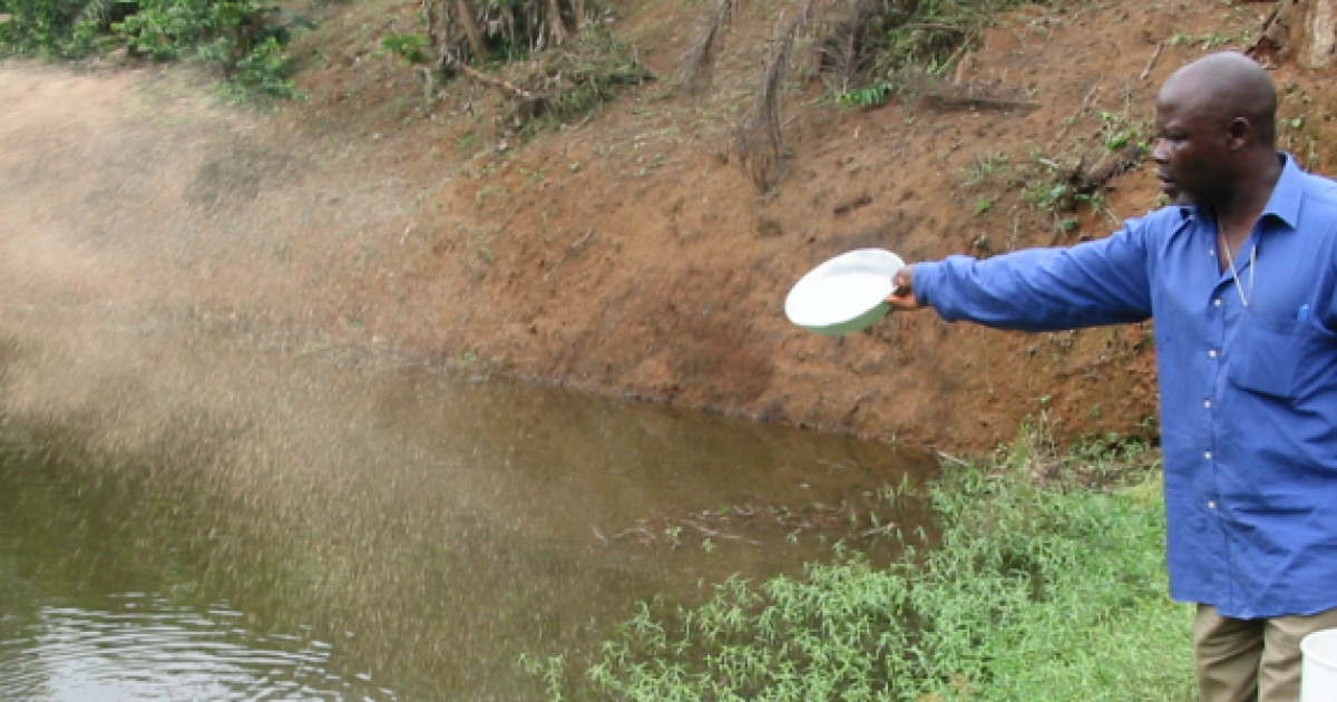 Practical Aquaculture Feed Management WorldFish